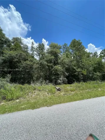 Tbd SW 59th Lane Other City - In The State Of Florida FL 34431
