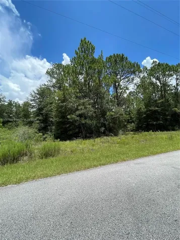 Tbd SW 59th Lane Other City - In The State Of Florida FL 34431