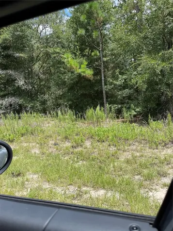Tbd SW 59th Lane Other City - In The State Of Florida FL 34431