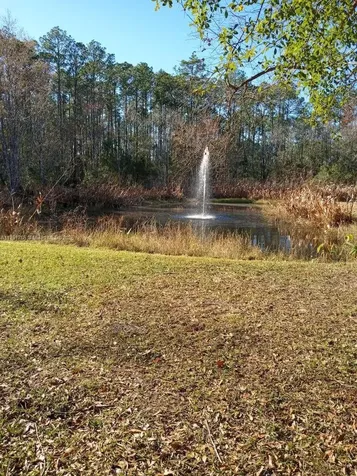 4225 Susan Street Other City - In The State Of Florida FL 32145