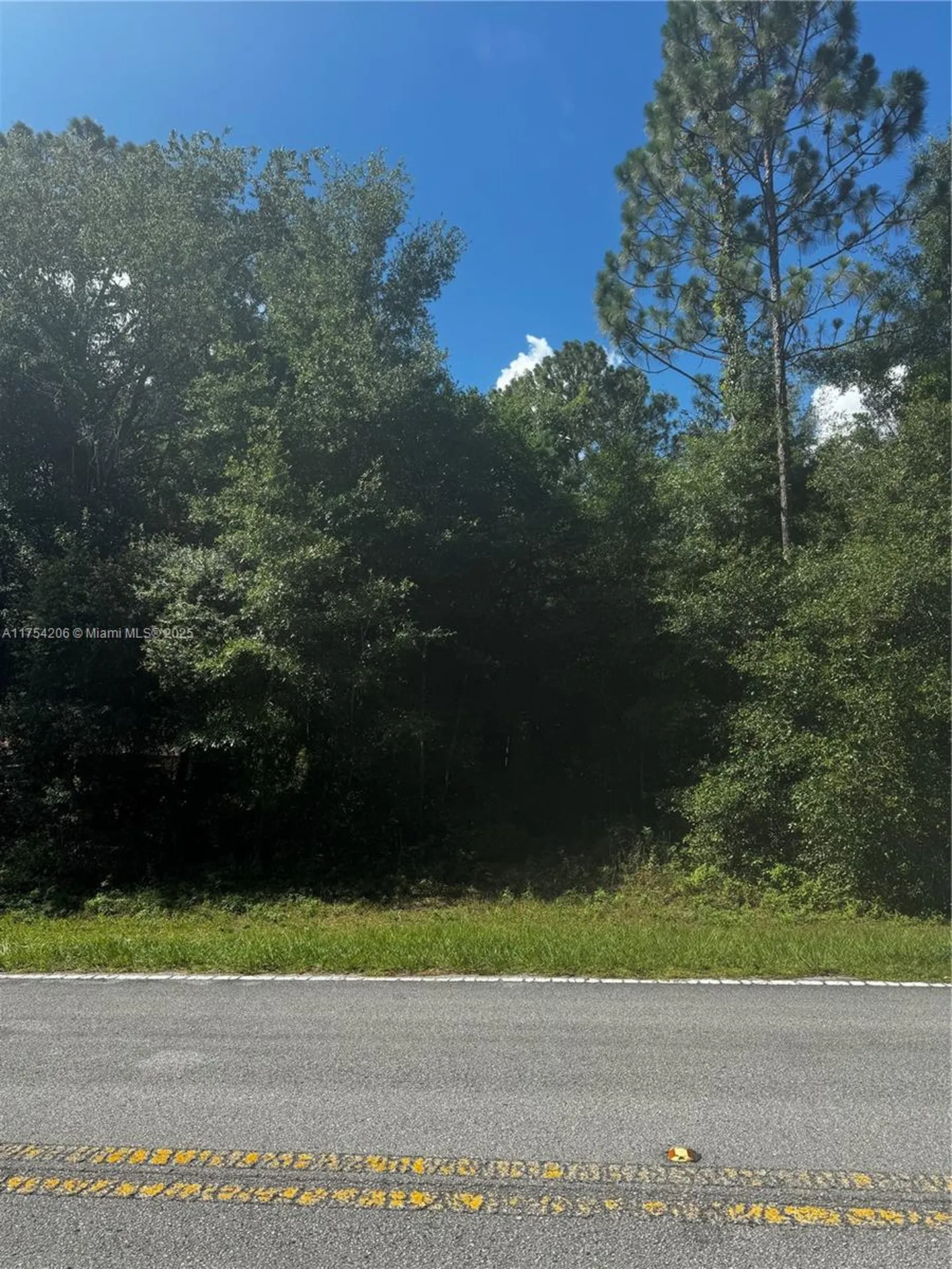 SW 54 Th Street 54 Other City - In The State Of Florida FL 34431