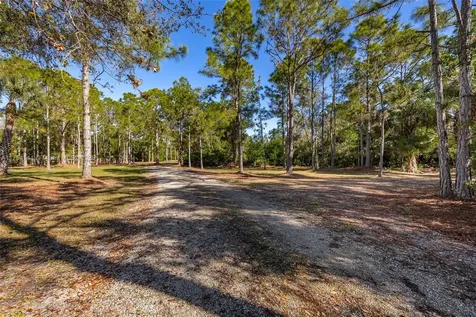17651 Katydid Lane Fort Myers FL 33913