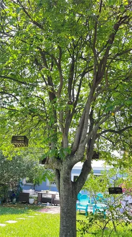 1206 NW 7th Avenue Fort Lauderdale FL 33311