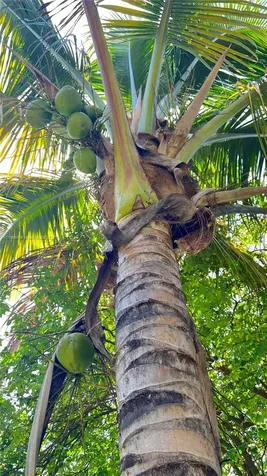 1206 NW 7th Avenue Fort Lauderdale FL 33311