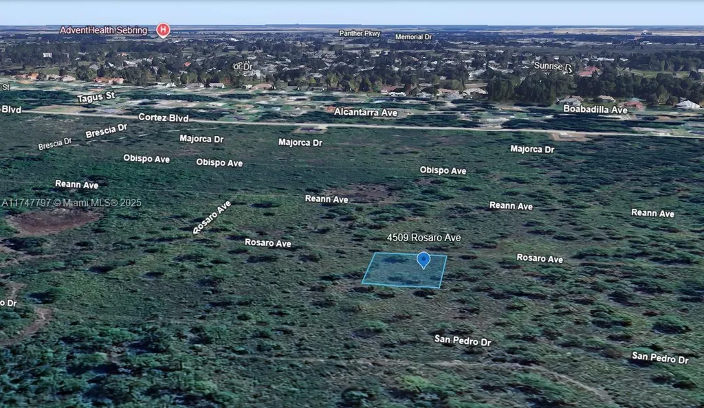 4509 Rosaro Avenue Sebring FL 33872