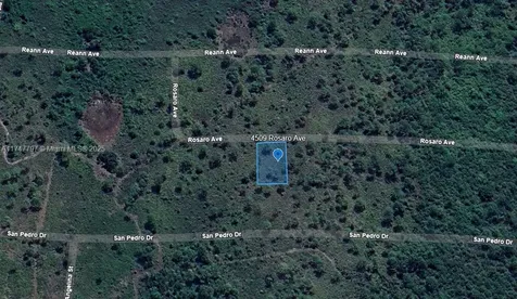 4509 Rosaro Avenue Sebring FL 33872