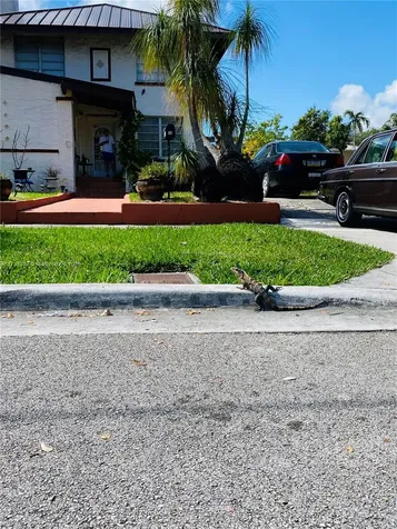 36 SW 20th Road Miami FL 33129