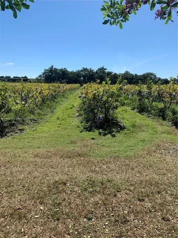 0 Tbd Homestead FL 33030