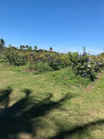 0 Tbd Homestead FL 33030