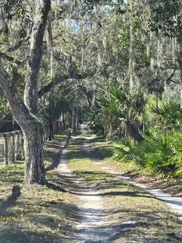 1370 NW 120th Avenue Ocala FL 34482