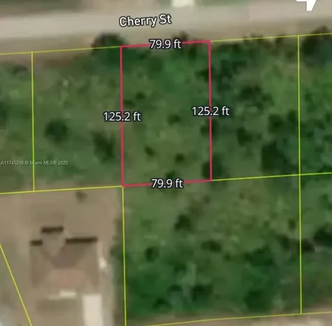 1116 Cherry Street E Lehigh Acres FL 33974