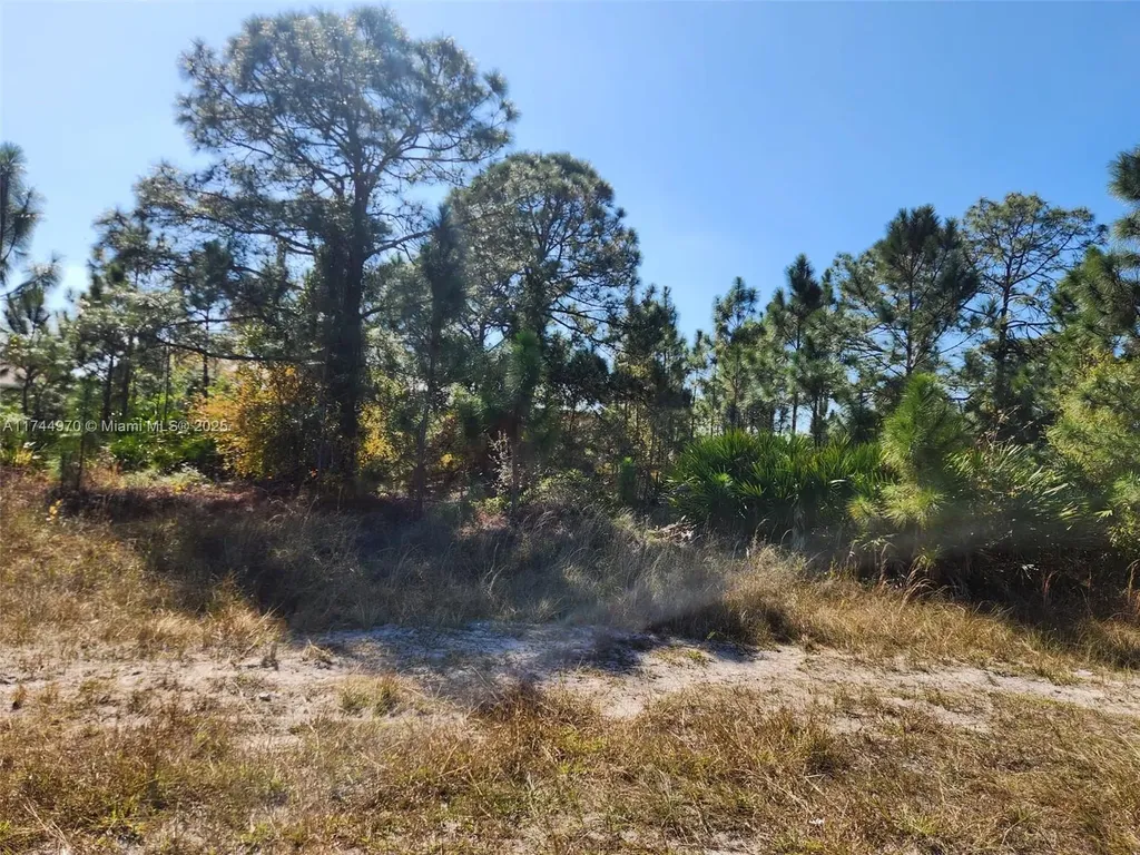 2719 50 W Lehigh Acres FL 33971