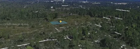 1136 Rustic Court Sebring FL 33852