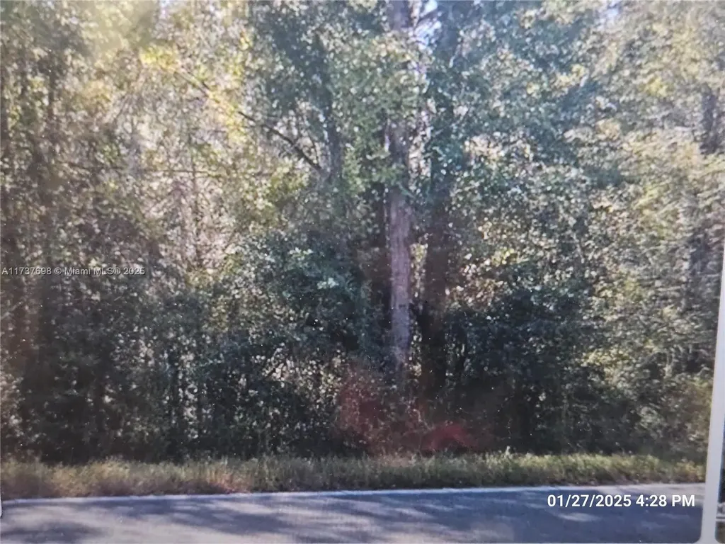 1146 County Road 20a Other City - In The State Of Florida FL 32640