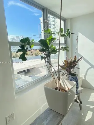 2899 Collins Avenue Miami Beach FL 33140