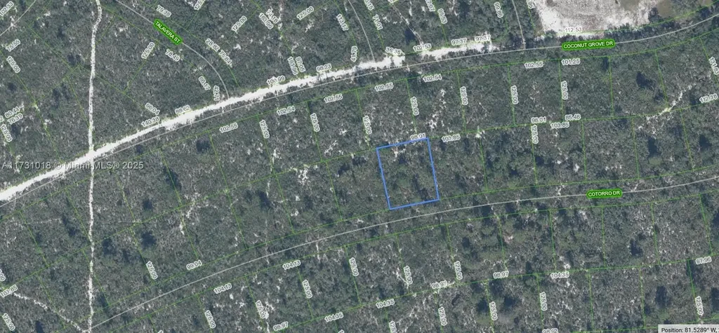 6456 Cotorro Drive Sebring FL 33872
