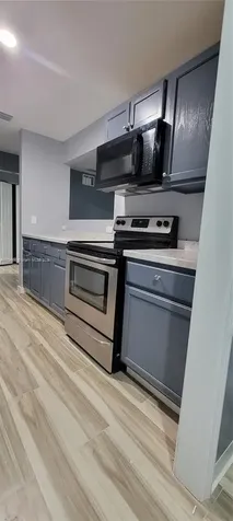 13285 Arbor Pointe Circle Tampa FL 33617
