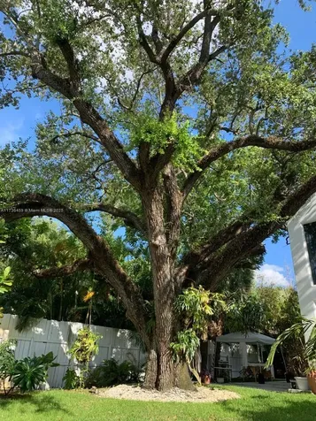 652 NE 77th Street Miami FL 33138