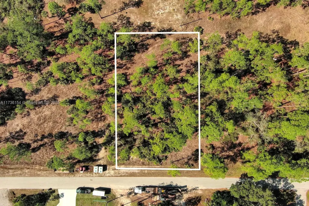 2309 Grant Avenue Lehigh Acres FL 33920