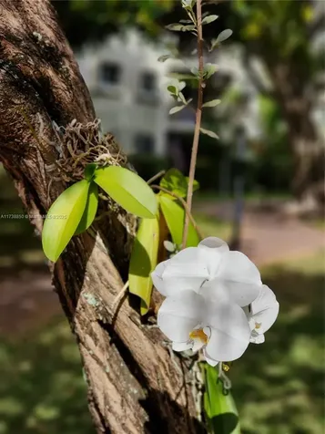3004 NE 5th Terrace Wilton Manors FL 33334