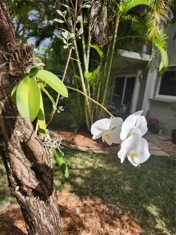 3004 NE 5th Terrace Wilton Manors FL 33334