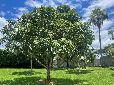16701 Sapphire Springs Weston FL 33331