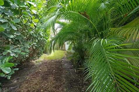 1059 NE 98th Street Miami Shores FL 33138