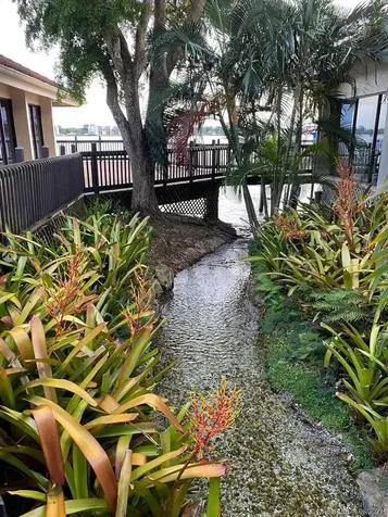 109 Lake Emerald Drive Oakland Park FL 33309
