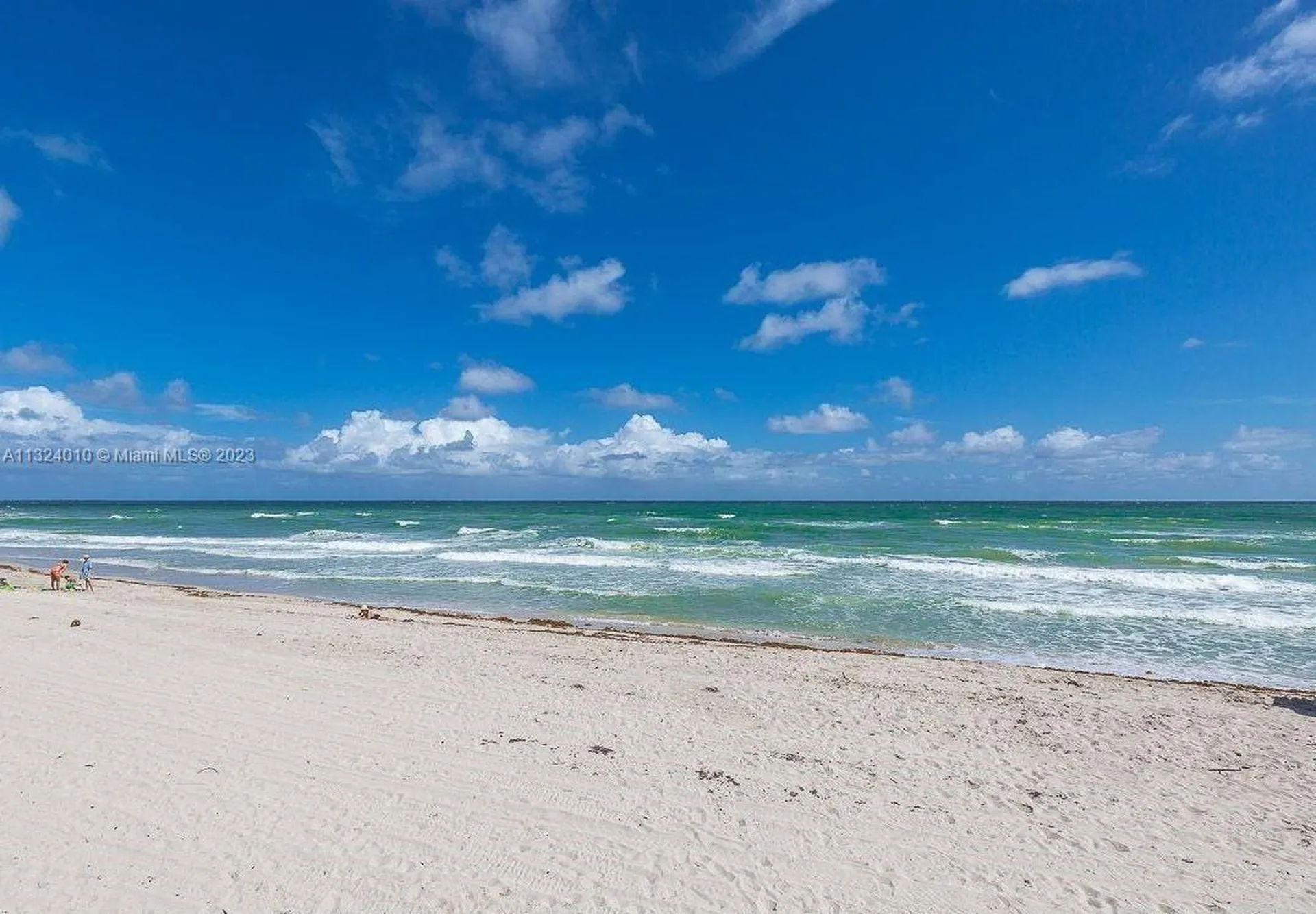 Hollywood FL 33019