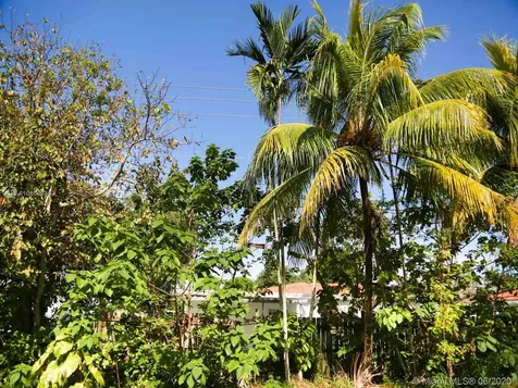 5100 SW 69th Avenue Miami FL 33155