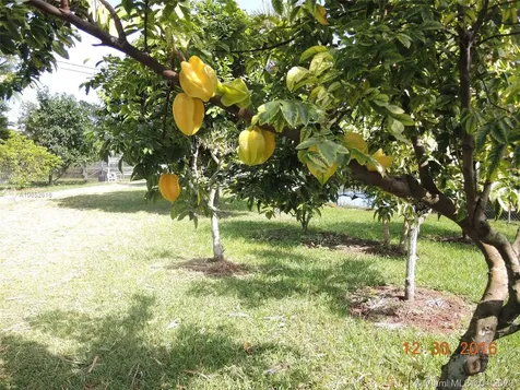 18900 Stirling Road Southwest Ranches FL 33332
