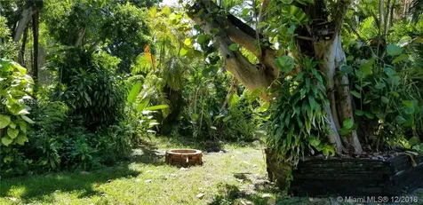 849 NE 92nd Street Miami Shores FL 33138