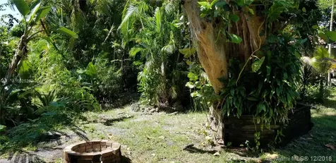 849 NE 92nd Street Miami Shores FL 33138