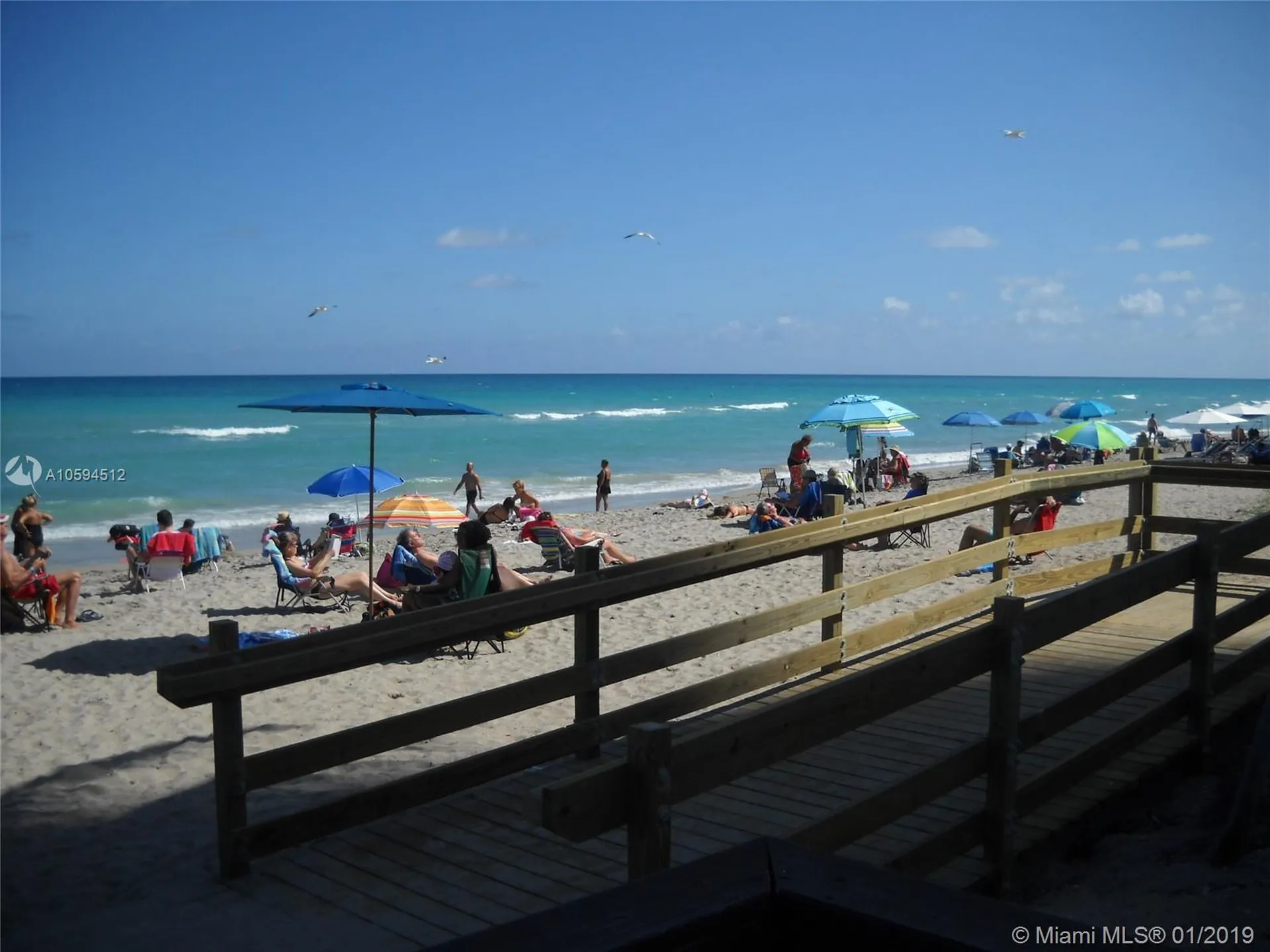 3901 S Ocean Drive Hollywood FL 33019