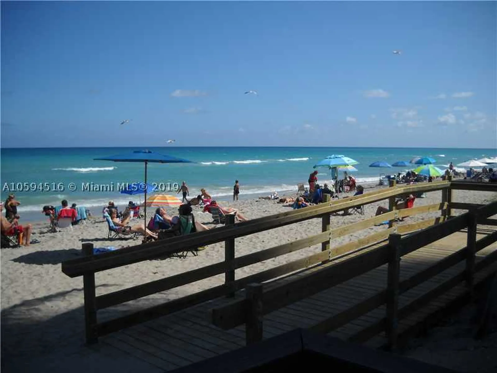3901 S Ocean Drive Hollywood FL 33019