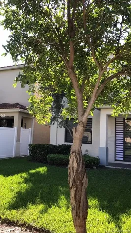 635 NE 193rd Street Miami FL 33179
