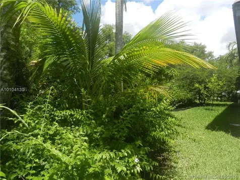 967 Golden Cane Drive Weston FL 33327