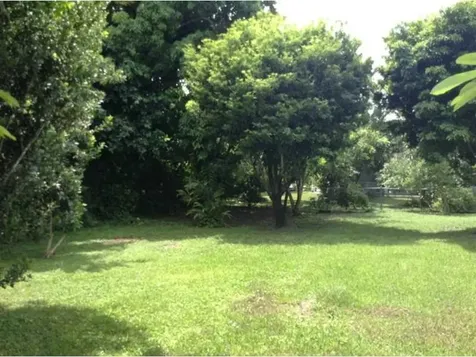 15200 SW 87 Court Palmetto Bay FL 33157