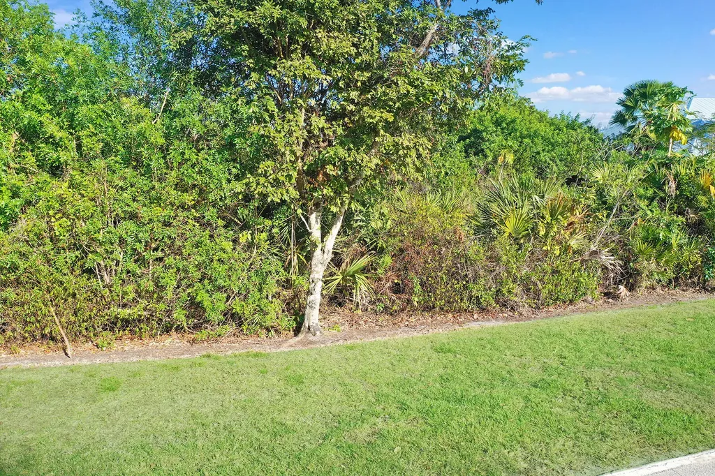 780 Whiskey Creek Drive Marco Island FL 34145