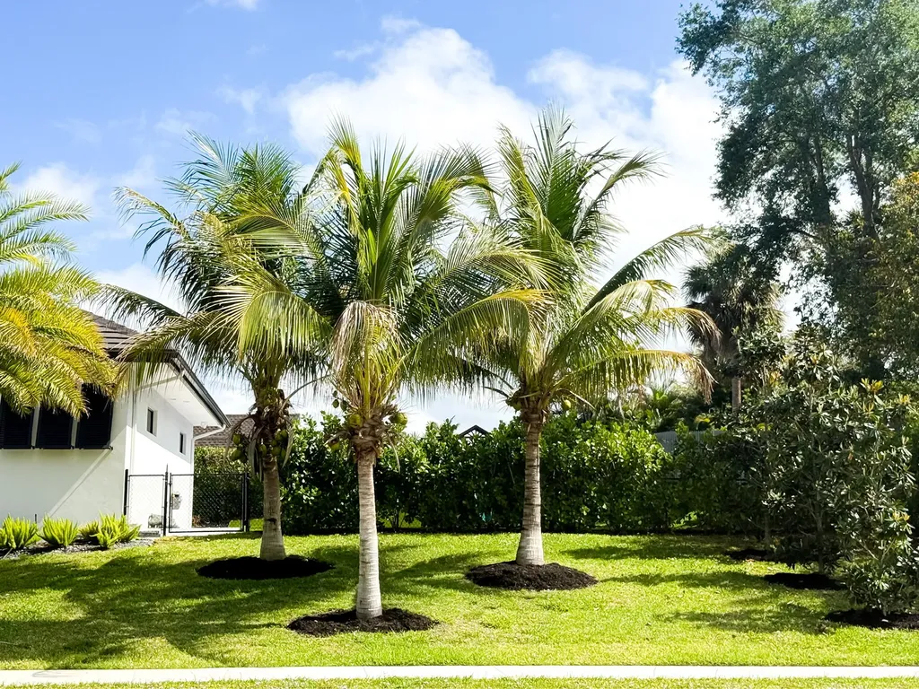 1702 Ludlow Road Marco Island FL 34145