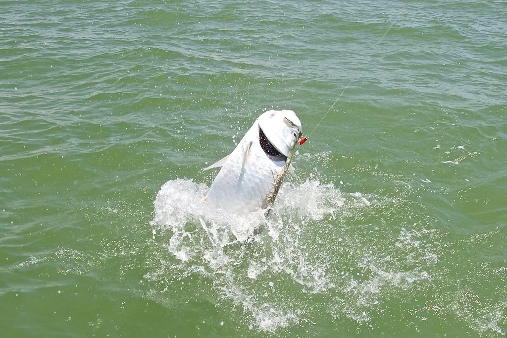 254 Newport Drive Naples FL 34114