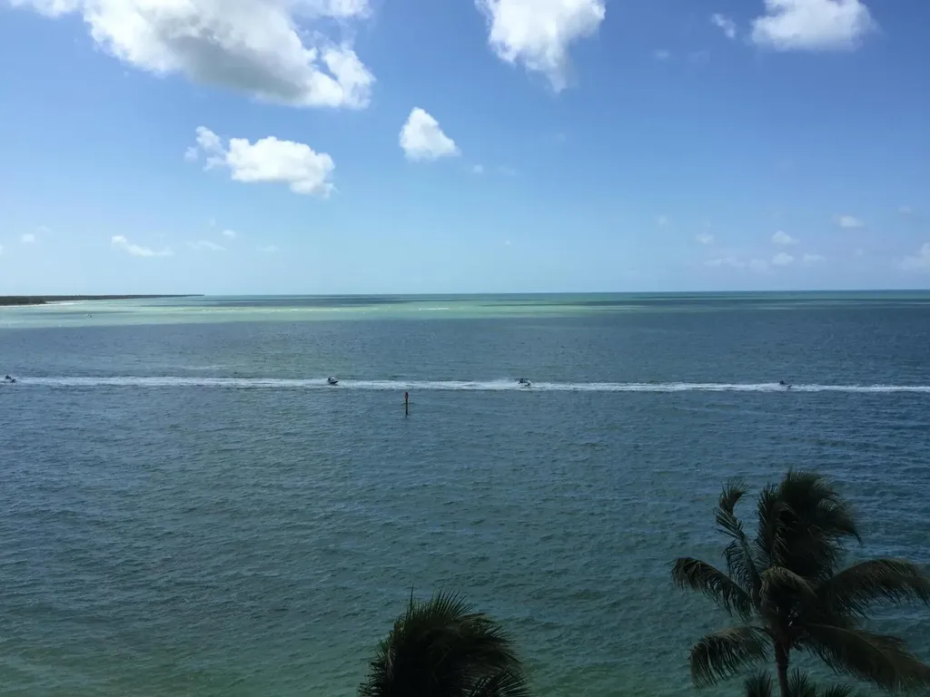 990 Cape Marco Marco Island FL 34145