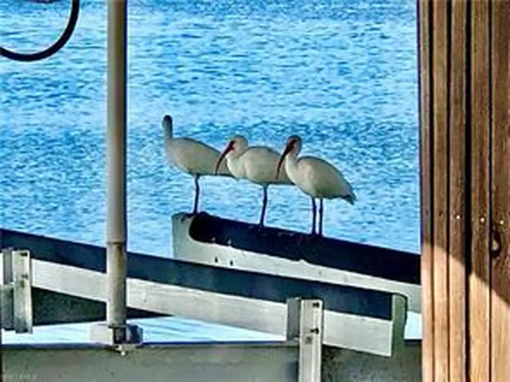 410 Cristobal Street Naples FL 34113