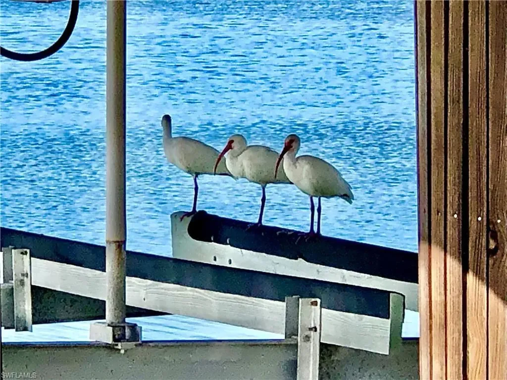 410 Cristobal Street Naples FL 34113