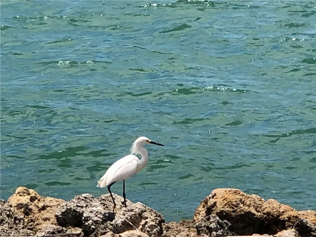 410 Cristobal Street Naples FL 34113