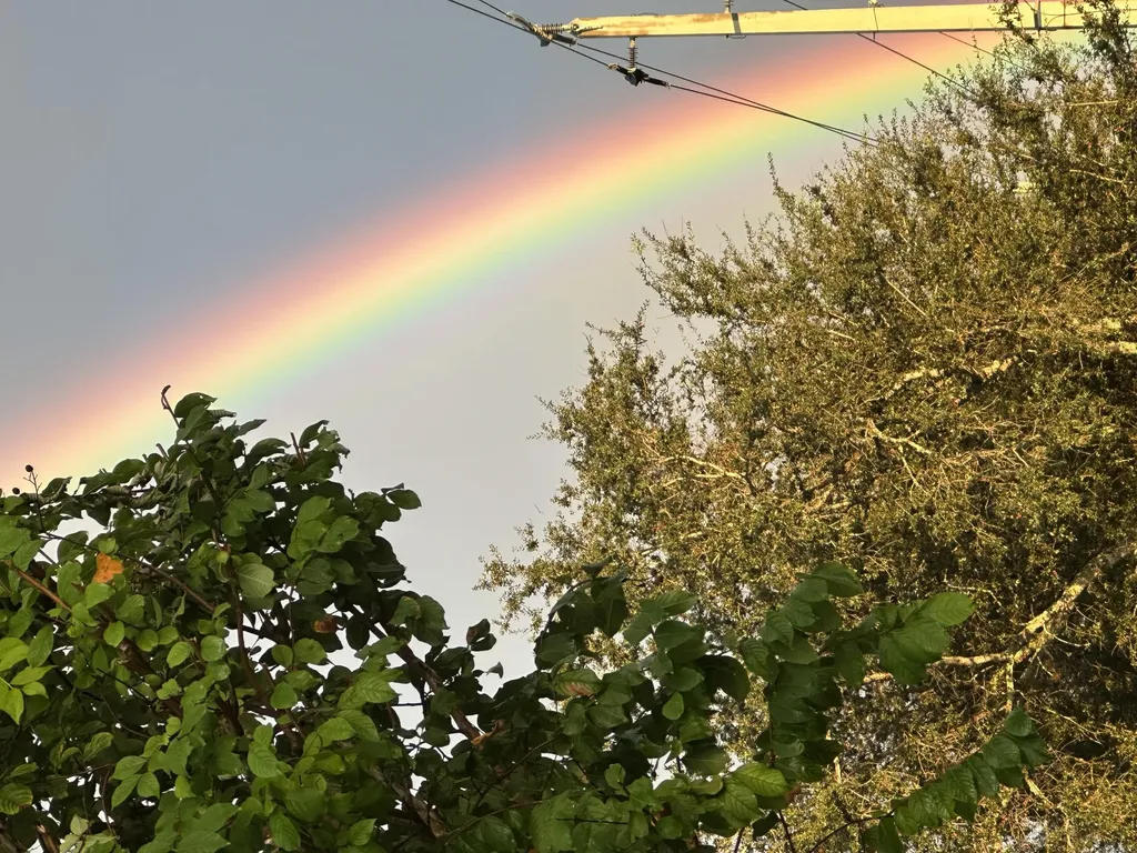 410 Cristobal Street Naples FL 34113