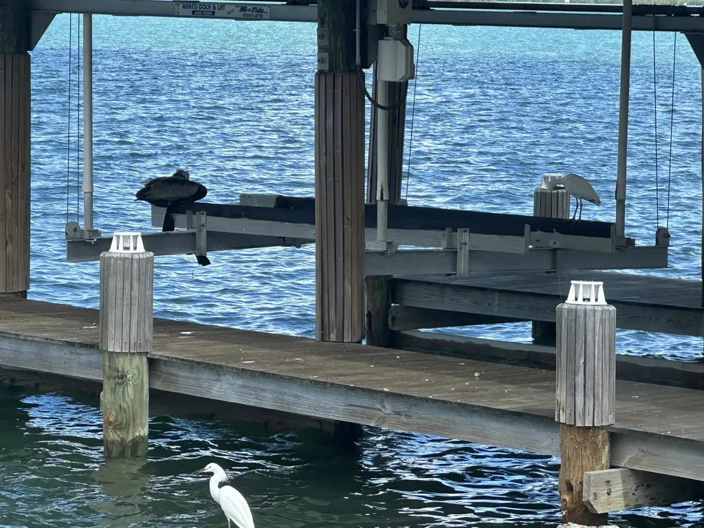 410 Cristobal Street Naples FL 34113