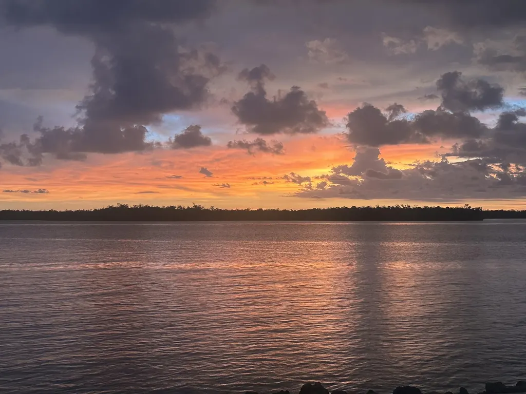 410 Cristobal Street Naples FL 34113