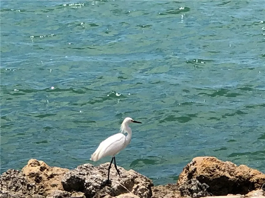 410 Cristobal Street Naples FL 34113