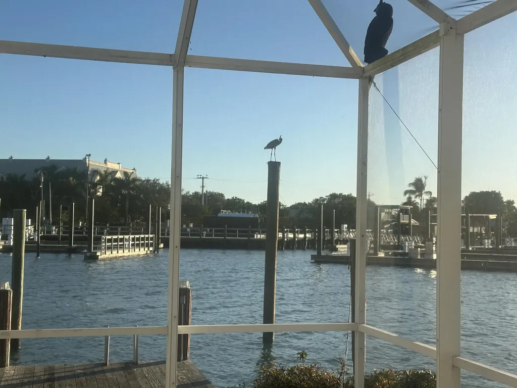 410 Cristobal Street Naples FL 34113